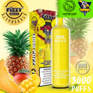 fizzy maxx pine apple mesh coil 3000 Puffs