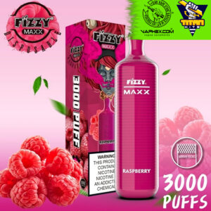 fizzy maxx raspberry 3000 puffs