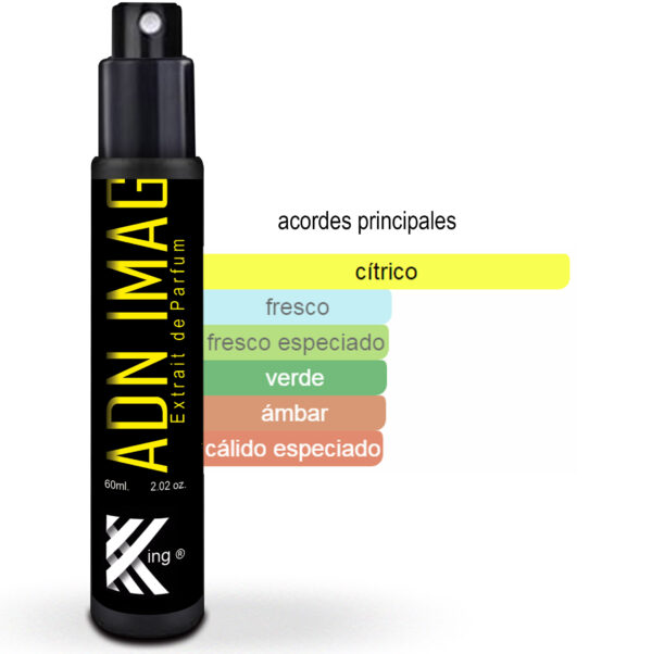 KING_PERFUME_ADN_IMAGINATION_LV_60ml_ACORDES